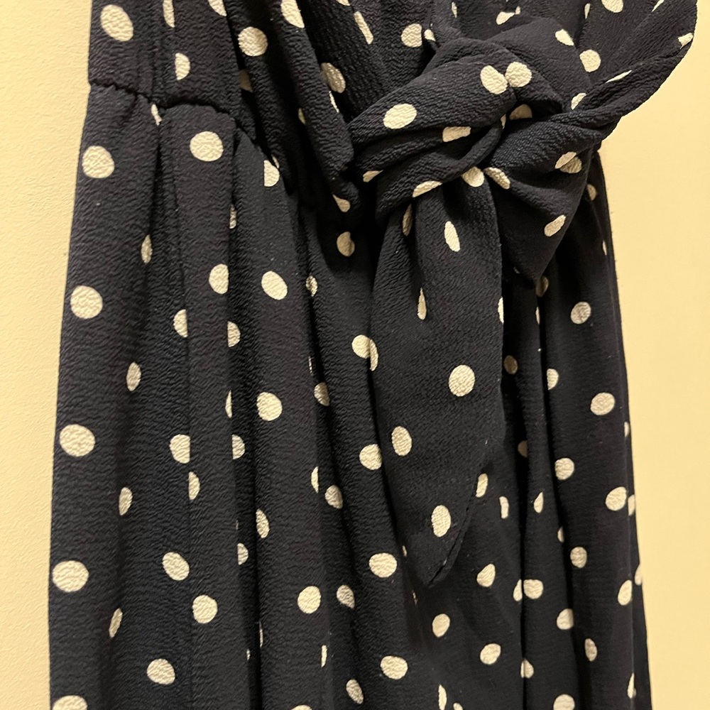 VICI Navy Poka Dot Dress